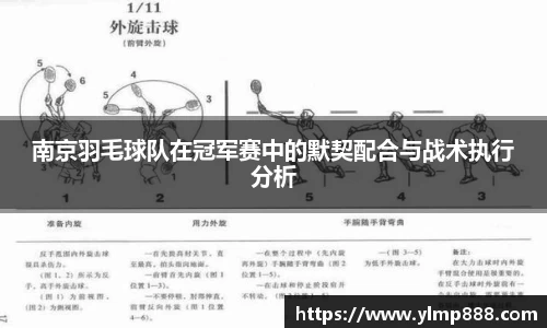 南京羽毛球队在冠军赛中的默契配合与战术执行分析